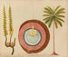 Album of Asian fruit and flower watercolors Pl04 - Anonymous — artwork view