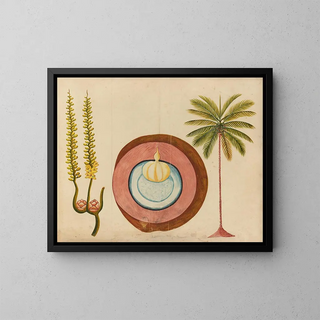 Album of Asian fruit and flower watercolors Pl04 - Anonymous — framed artwork on a wall