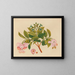 Album of Asian fruit and flower watercolor paintings Pl06 - Anonymous — framed artwork on a wall