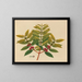 Album of Asian fruit and flower watercolors Pl07 - Anonymous — framed artwork on a wall