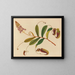 Album de aquarelles de fruits et fleurs asiatiques Pl10 - Anonyme — framed artwork on a wall