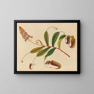 Album de aquarelles de fruits et fleurs asiatiques Pl10 - Anonyme — framed artwork on a wall