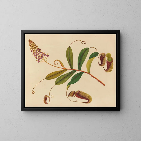 Album de aquarelles de fruits et fleurs asiatiques Pl10 - Anonyme — framed artwork on a wall
