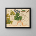 Album of Asian fruit and flower watercolors Pl13 - Anonymous — framed artwork on a wall