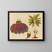 Album de aquarelles de fruits et fleurs asiatiques Pl15 - Anonyme — framed artwork on a wall