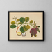Album of Asian fruit and flower watercolors Pl19 - Anonymous — framed artwork on a wall