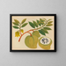 Album de aquarelles de fruits et fleurs asiatiques Pl20 - Anonyme — framed artwork on a wall
