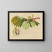 Album de aquarelles de fruits et fleurs asiatiques Pl22 - Anonyme — framed artwork on a wall