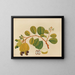 Album de aquarelles de fruits et fleurs asiatiques Pl23 - Anonyme — framed artwork on a wall