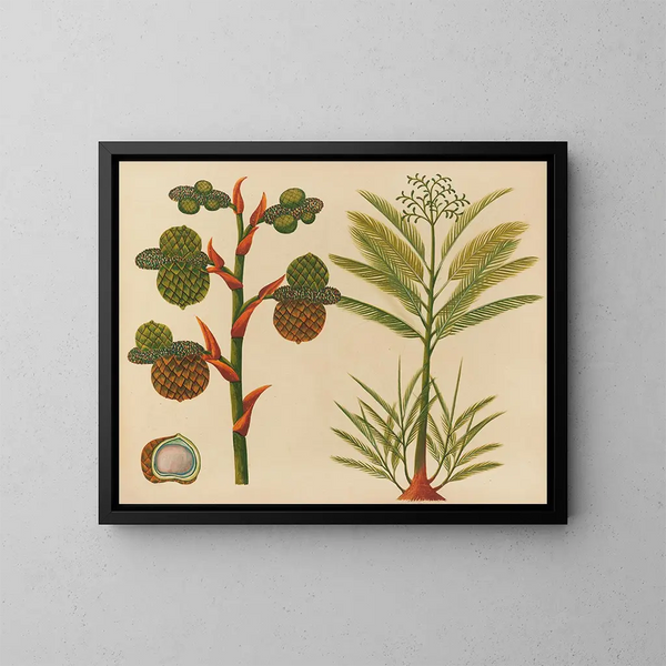 Album de aquarelles de fruits et fleurs asiatiques Pl24 - Anonyme — framed artwork on a wall