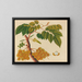 Album de aquarelles de fruits et fleurs asiatiques Pl25 - Anonyme — framed artwork on a wall