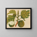 Album of Asian fruit and flower watercolors Pl30 - Anonymous — framed artwork on a wall