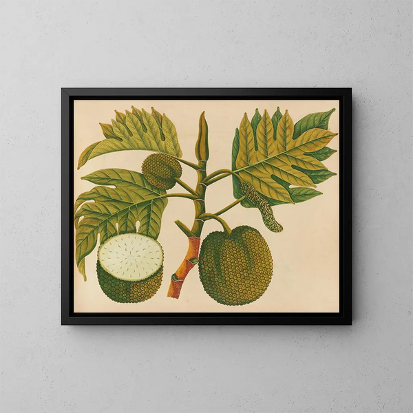 Album of Asian fruit and flower watercolors Pl30 - Anonymous — framed artwork on a wall