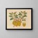 Album of Asian fruit and flower watercolors Pl32 - Anonymous — framed artwork on a wall