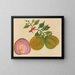 Album de aquarelles de fruits et fleurs asiatiques Pl33 - Anonyme — framed artwork on a wall