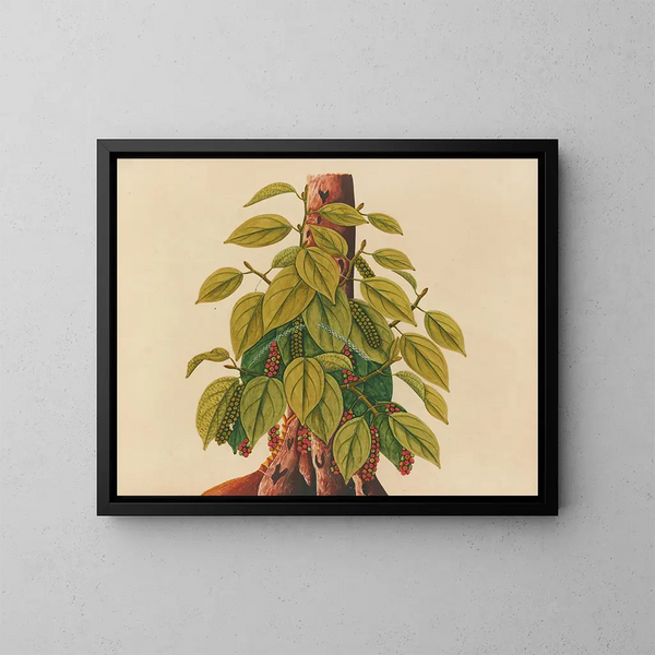 Album de aquarelles de fruits et fleurs asiatiques Pl34 - Anonyme — framed artwork on a wall