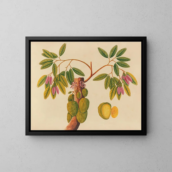 Album de aquarelles de fruits et fleurs asiatiques Pl38 - Anonyme — framed artwork on a wall