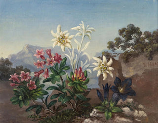 Alpine Flowers Painting - Anonymous — artwork view