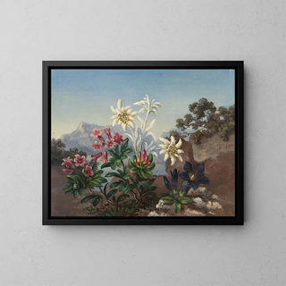 Alpine Flowers Painting - Anonymous — framed artwork on a wall