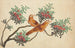 Birds of China - Anonymous — artwork view