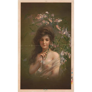 Jacinthes des bois - Anonymous — artwork view