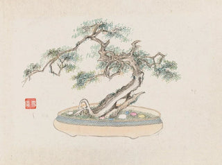 Bonsaï Kabenzu Painting Pl02 - Anonymous — artwork view