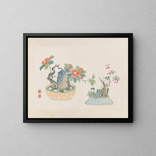 Bonsaï kabenzu Pl04 - Anonymous — framed artwork on a wall