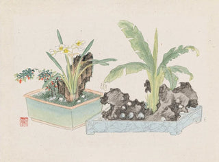 Bonsaï Kabenzu Painting Pl05 - Anonymous — artwork view