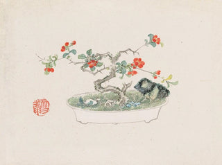Bonsai Painting kabenzu Pl07 - Anonymous — artwork view