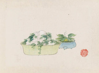Bonsaï Pl10 - Anonymous — artwork view