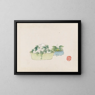 Bonsaï Pl10 - Anonymous — framed artwork on a wall