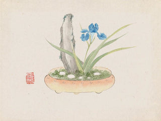 Bonsaï Kabenzu Painting Pl11 - Anonymous — artwork view