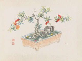 Bonsaï Kabenzu Pl12 - Anonymous — artwork view