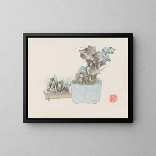 Bonsaï Pl14 - Anonymous — framed artwork on a wall