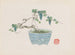 Bonsaï Kabenzu Painting Pl15 - Anonymous — artwork view