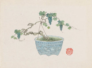 Bonsaï Kabenzu Painting Pl15 - Anonymous — artwork view