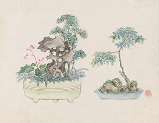 Bonsaï Kabenzu Pl16 - Anonymous — artwork view