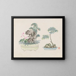 Bonsaï Kabenzu Pl16 - Anonymous — framed artwork on a wall