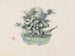 Bonsaï Kabenzu Painting Pl18 - Anonymous — artwork view