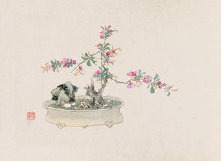 Bonsaï Pl27 - Anonymous — artwork view