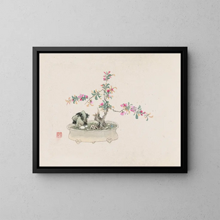Bonsaï Pl27 - Anonymous — framed artwork on a wall