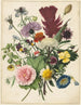 Bouquet of Flowers - Anonymous — artwork view