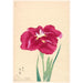 Reproduction of the painting Flower Brocade Painting Hana no Nishiki - Anonymous