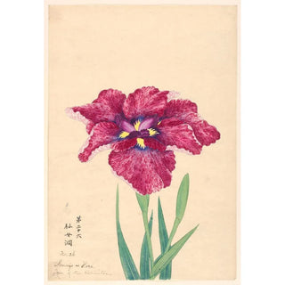 Grotte de l'ermite Sennyo no Hora - Anonyme — artwork view