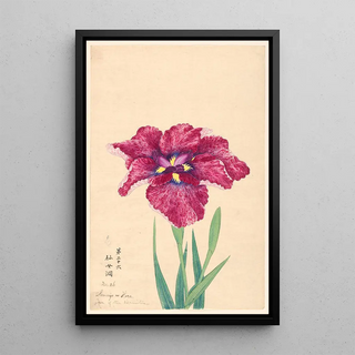 Grotte de l'ermite Sennyo no Hora - Anonyme — framed artwork on a wall