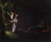 The Christ at the Mount of Olives - Anonymous — artwork view