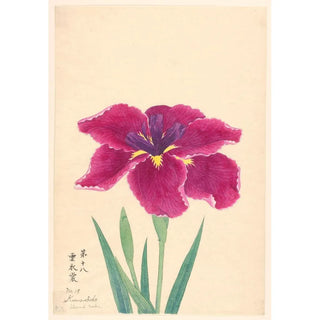 Robe de nuage KumoIsho - Anonyme — artwork view