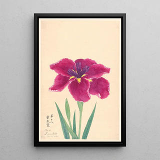 Robe de nuage KumoIsho - Anonyme — framed artwork on a wall