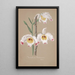 Collection of Orchids Pl01 - Anonymous — framed artwork on a wall