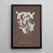 Collection of Orchids Pl03 - Anonymous — framed artwork on a wall